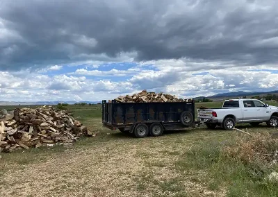affordable tree services near me Rock Springs Wyoming