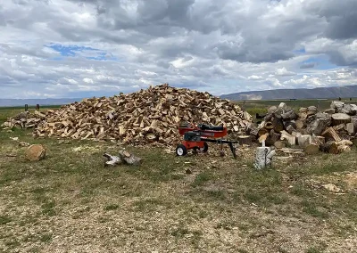 all seasons tree service Logan Utah
