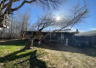 local tree service Garden City Utah