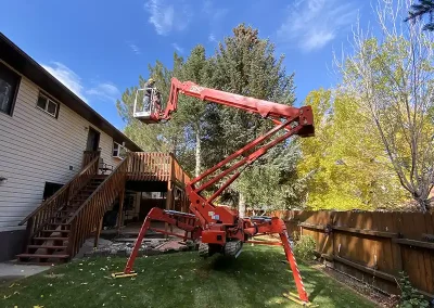 tree planting service Bloomington Idaho
