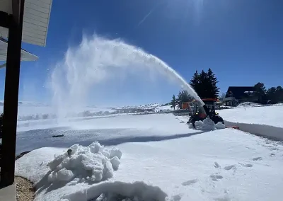 tree removal services near me Rock Springs Wyoming