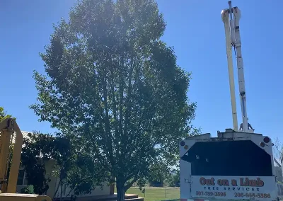 tree trimming service near me Garden City Utah