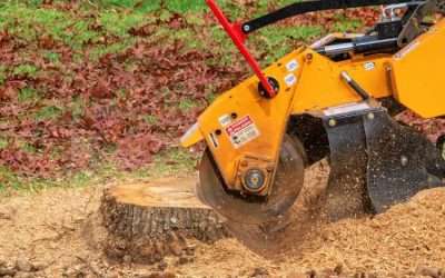 Stumped by a Leftover Log? Why Professional Grinding is Your Property’s Best Investment