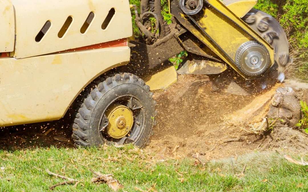 Stump grinding services Rock Springs Wyoming