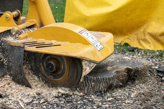 Eco-Friendly Stump Grinding