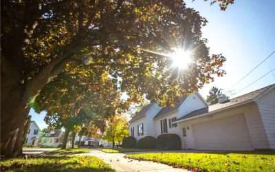 The Ultimate Guide to Landscaping with Trees in the Intermountain West