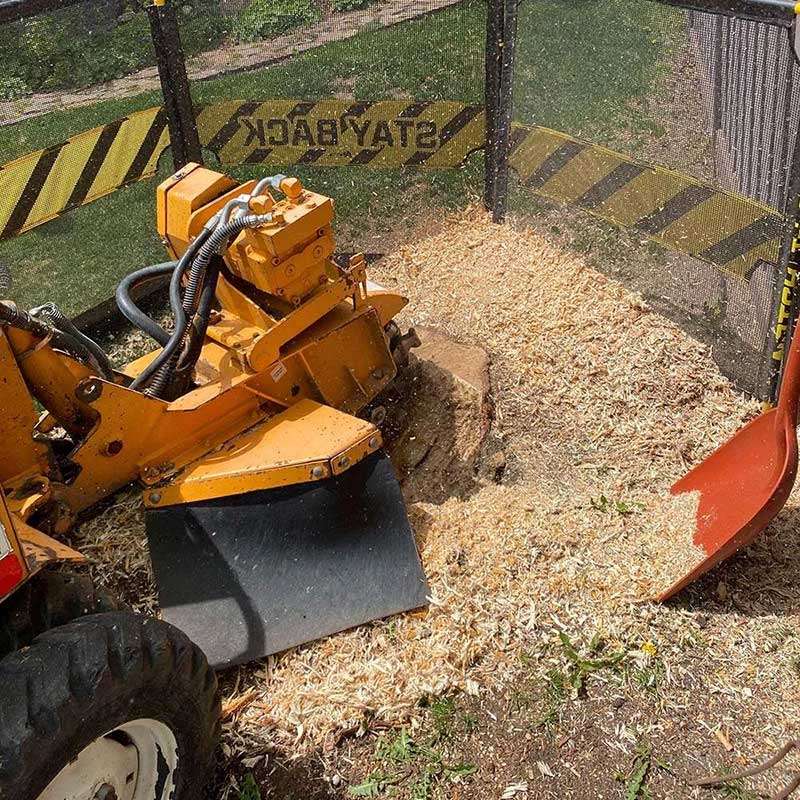 Machine Removing Stump