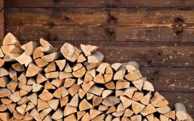 Firewood Facts: Buying, Storing, and Seasoning for Winter (A Local Guide)